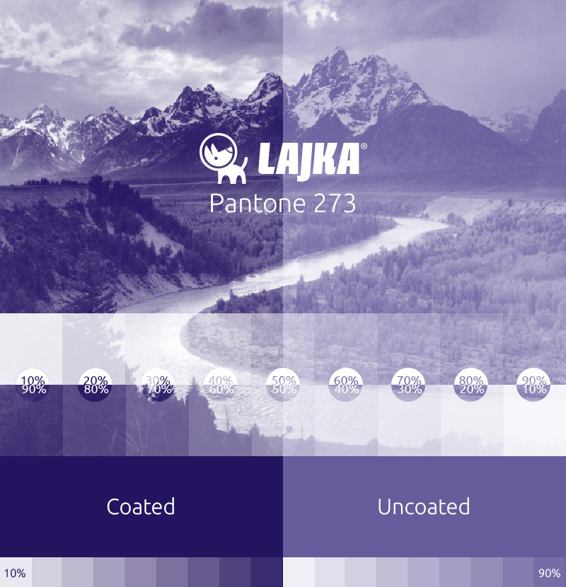 pantone 273