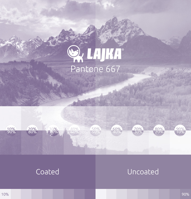 pantone 667