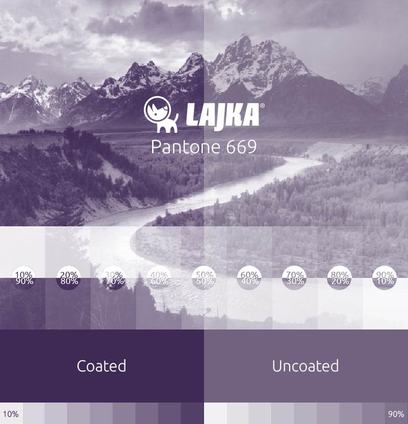 pantone 669