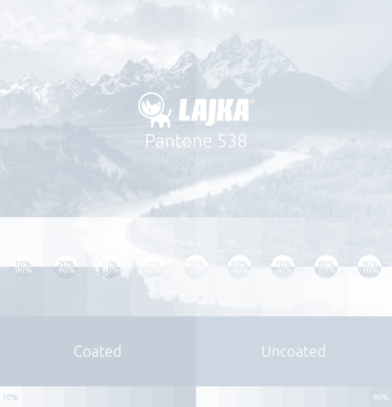 pantone 538