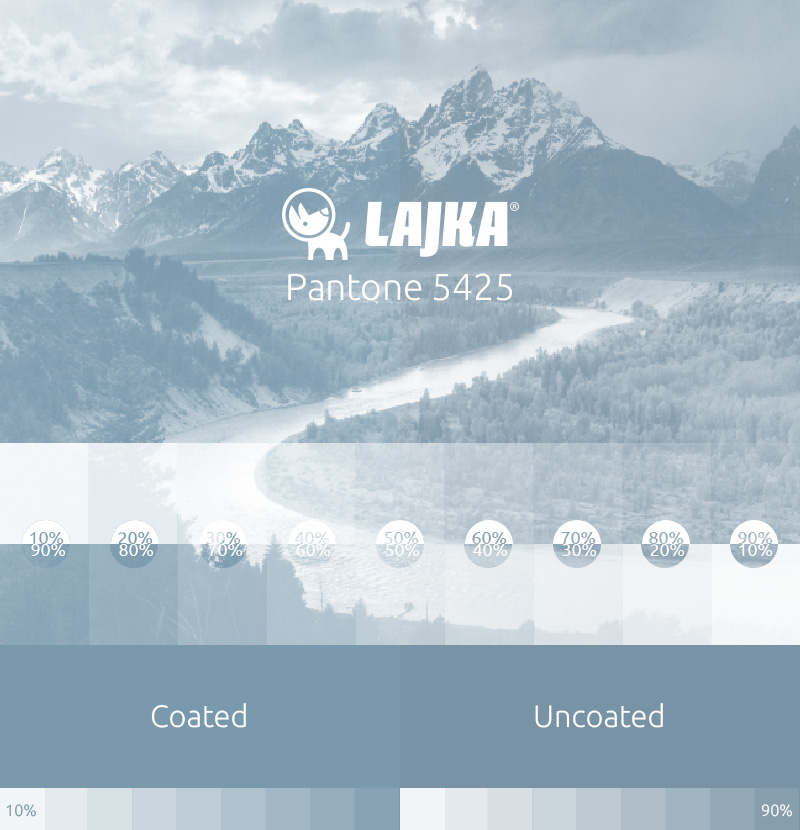 pantone 5425