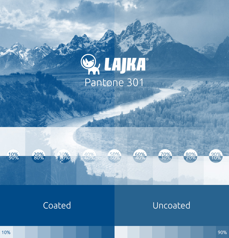 pantone 301
