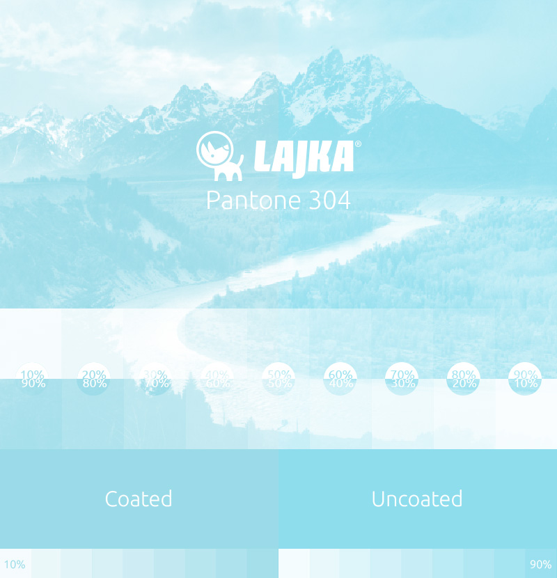 pantone 304