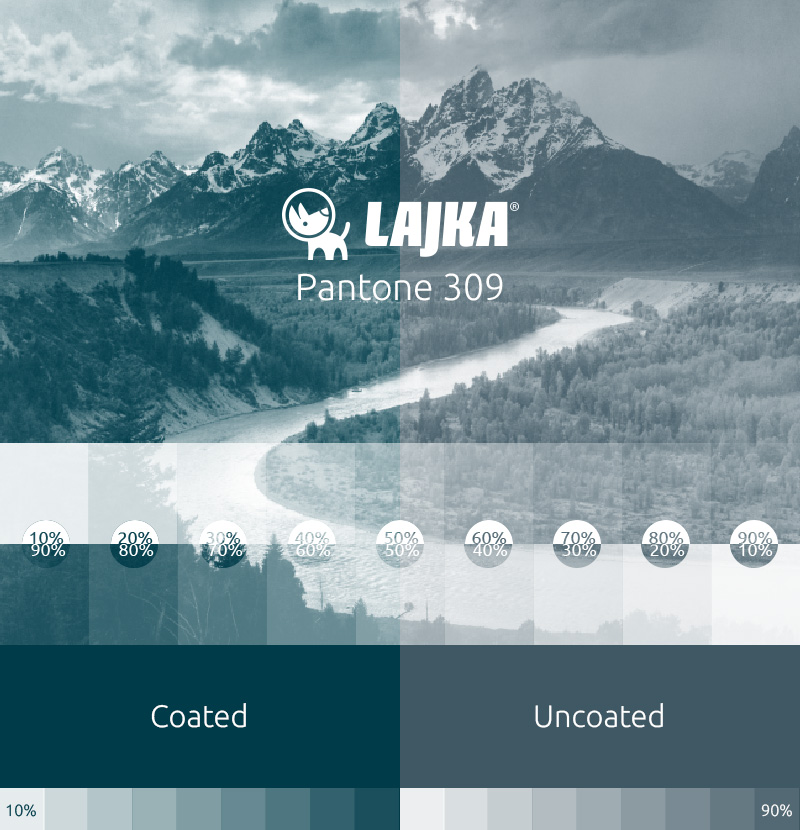 pantone 309