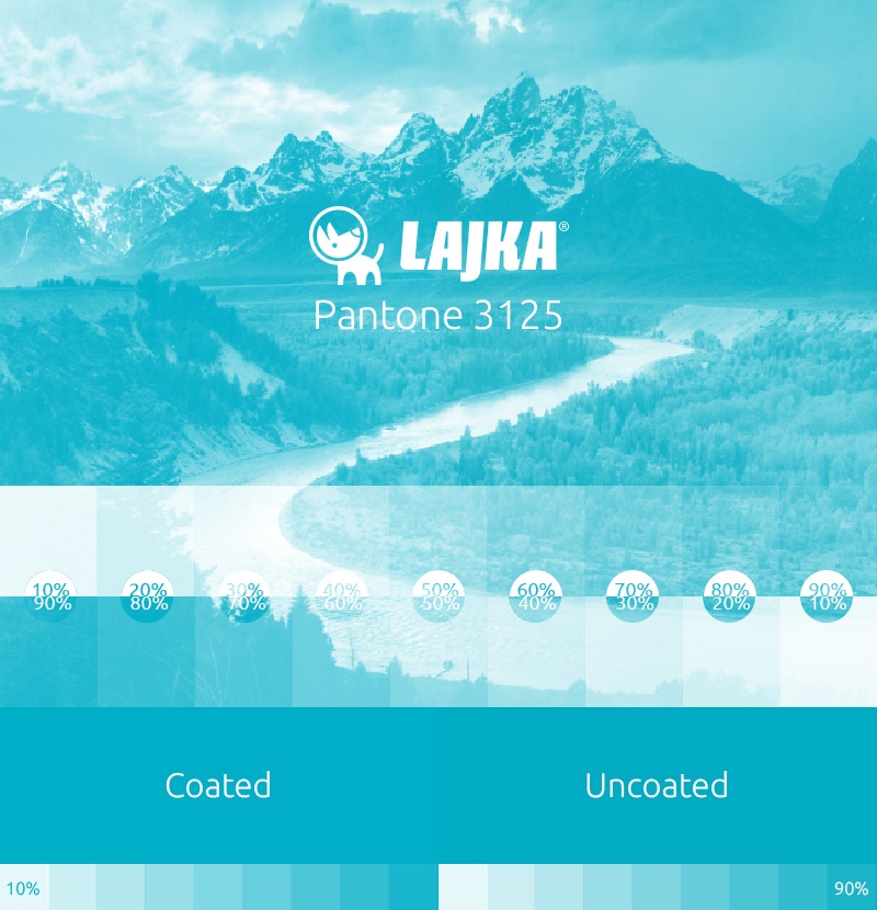 pantone 3125