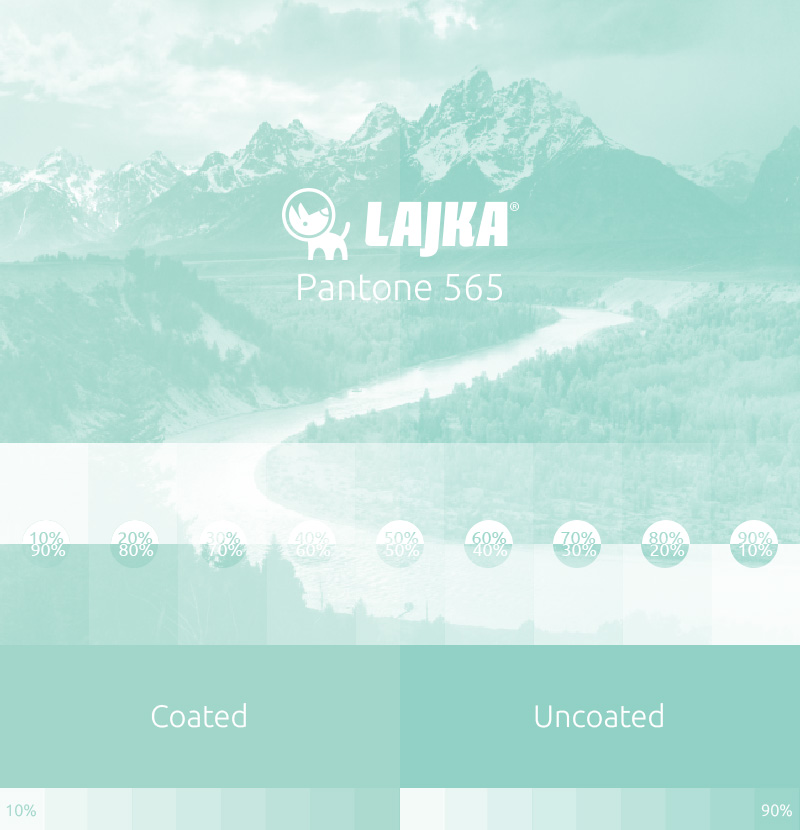 pantone 565
