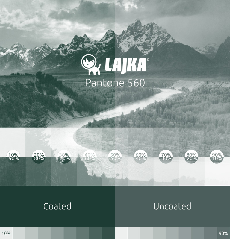 pantone 560