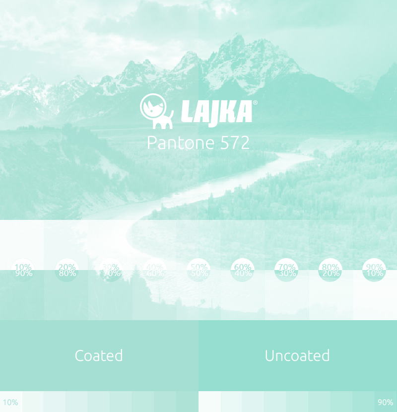 pantone 572