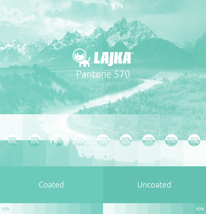 pantone 570