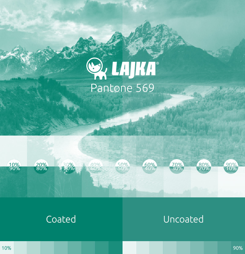 pantone 569