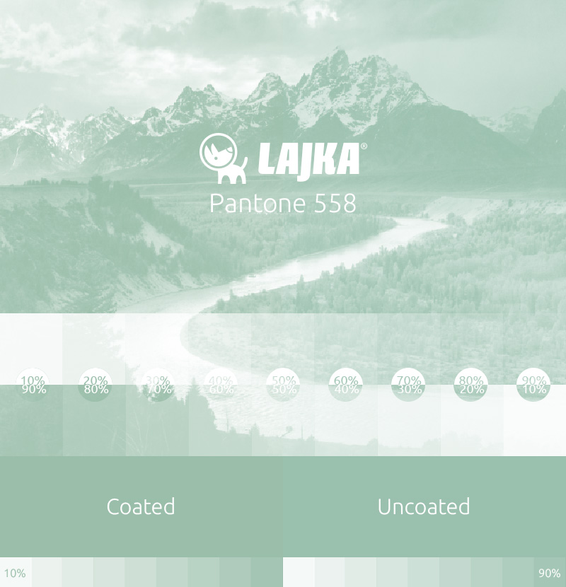 pantone 558