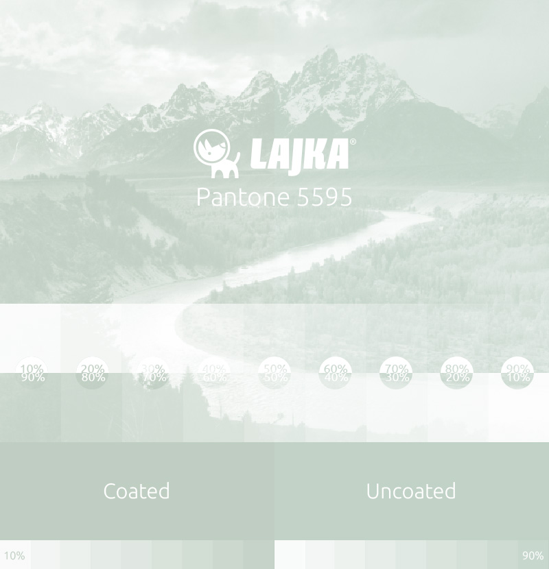 pantone 5595