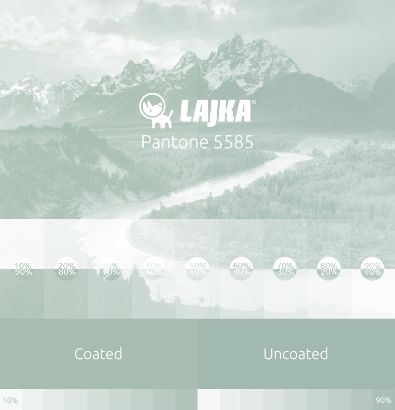 pantone 5585
