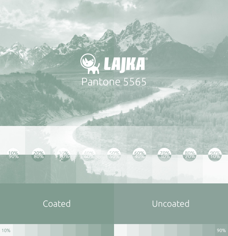 pantone 5565