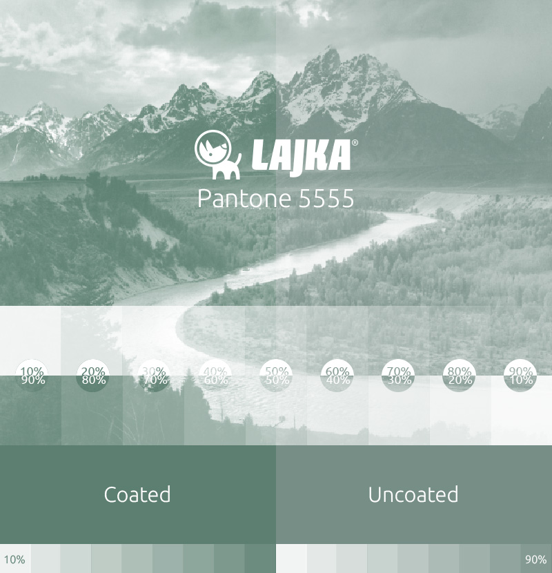 pantone 5555