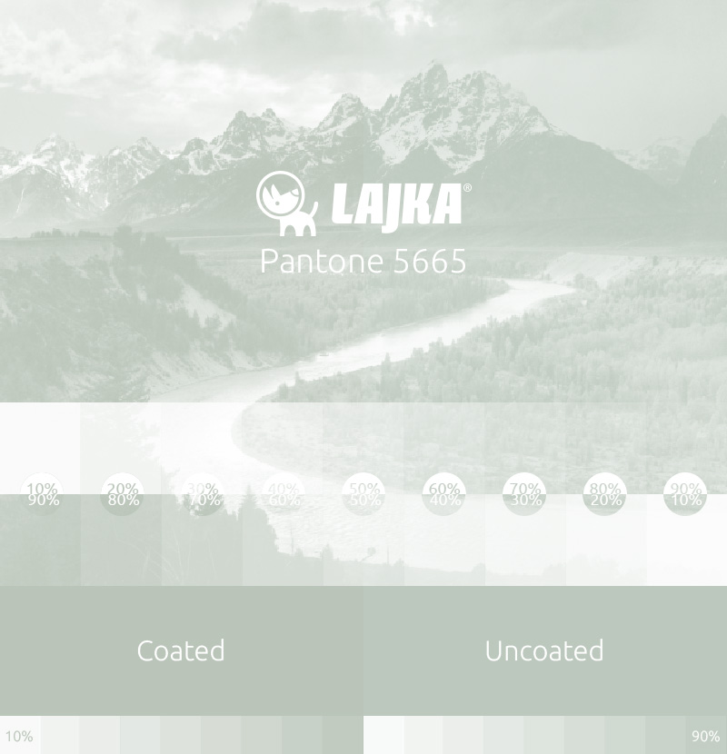pantone 5665