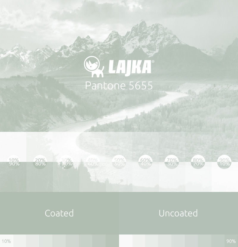 pantone 5655