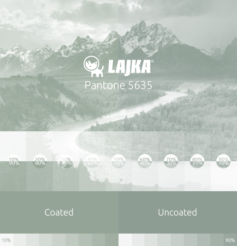pantone 5635