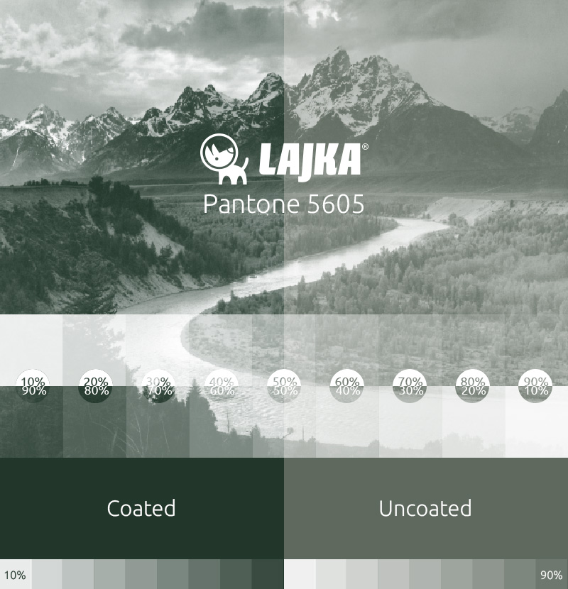 pantone 5605