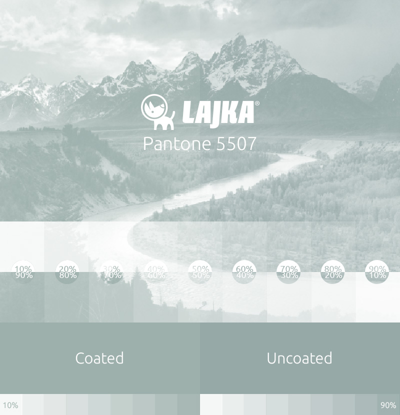 pantone 5507