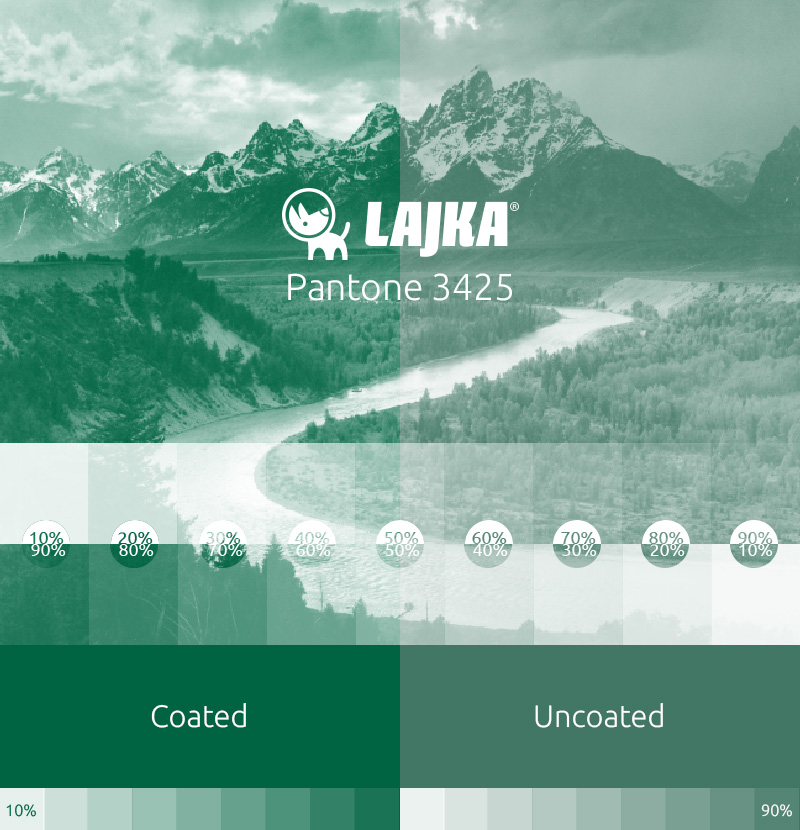 pantone 3425