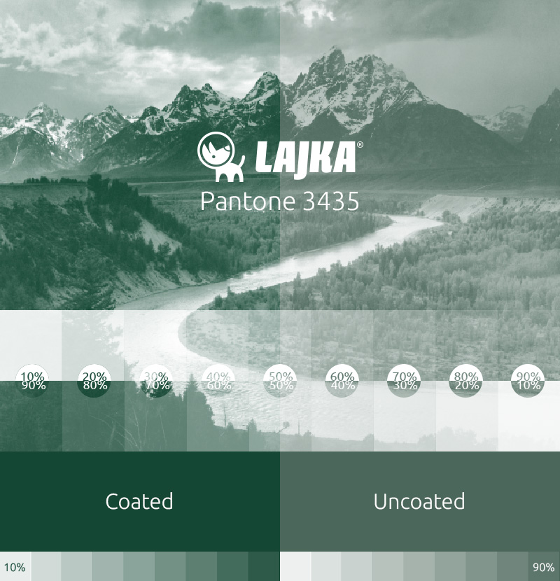 pantone 3435