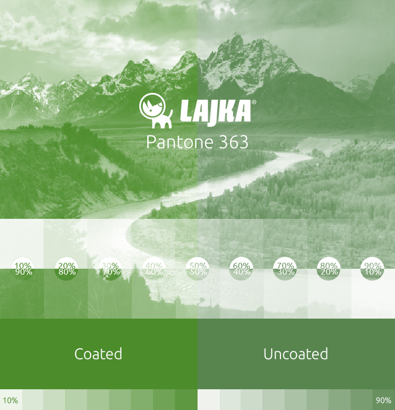 pantone 363