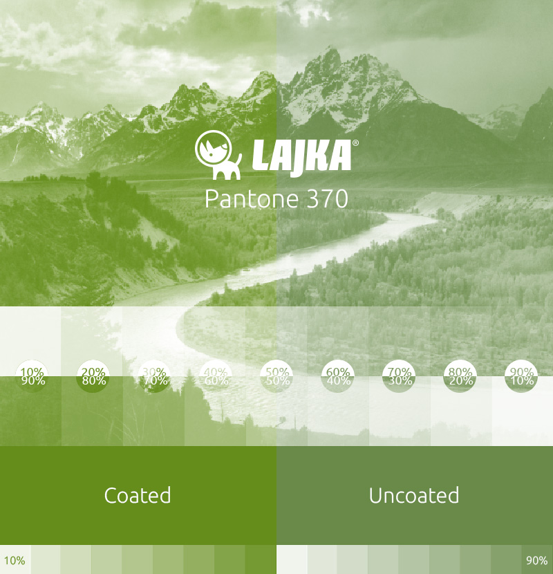 pantone 370