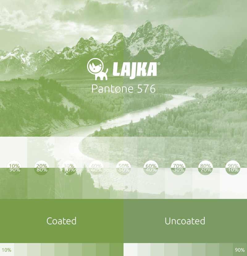 pantone 576