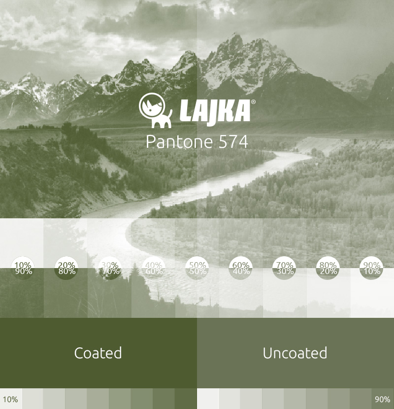 pantone 574