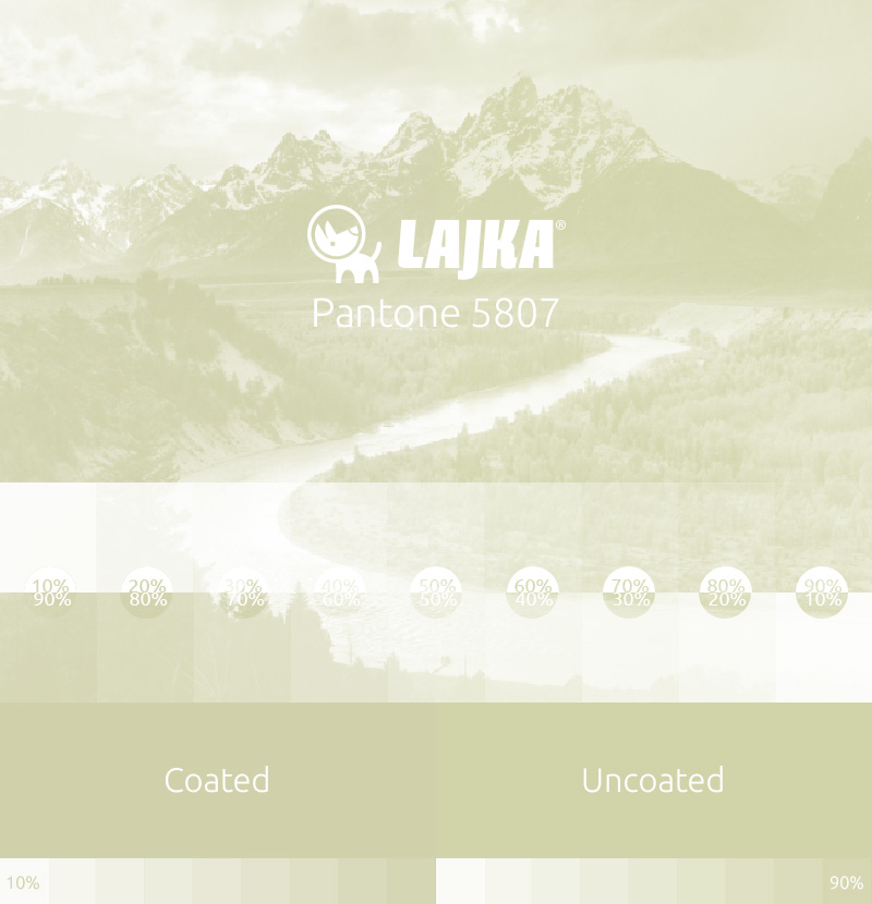 pantone 5807