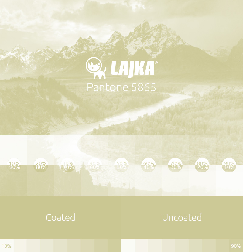 pantone 5865