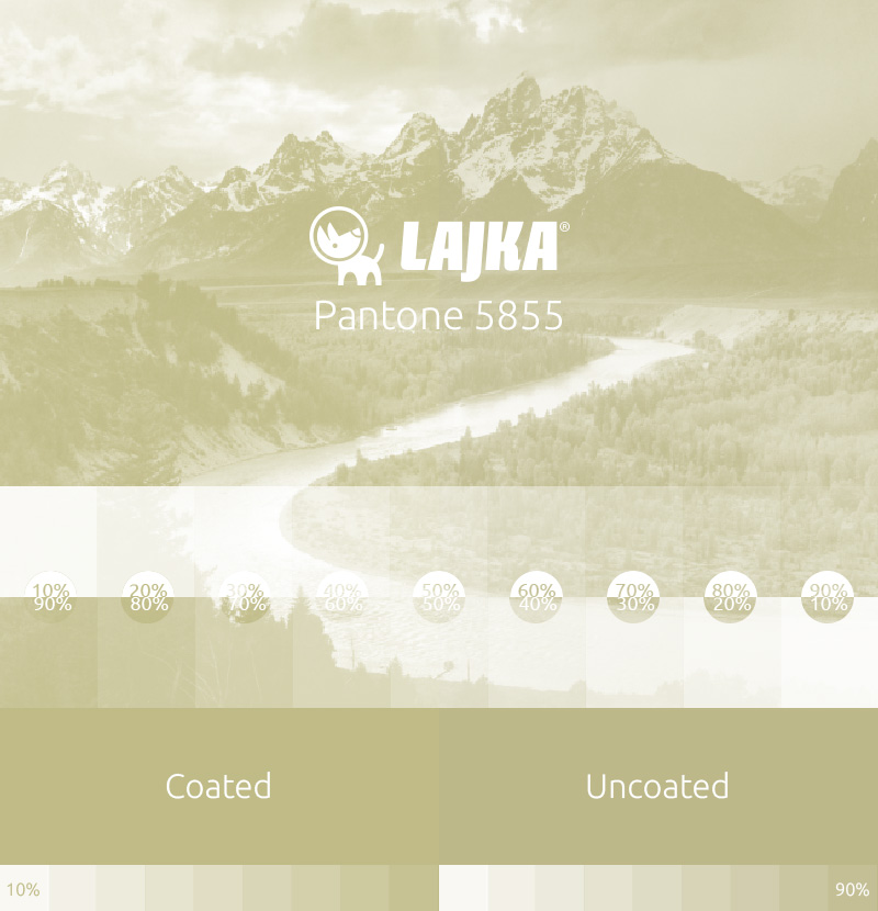 pantone 5855