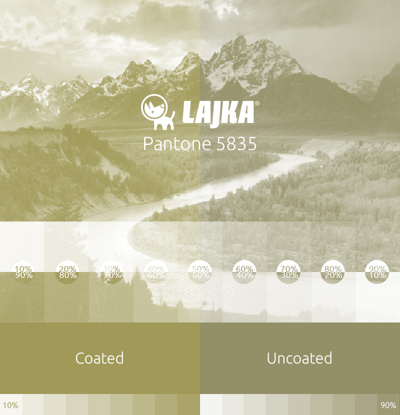 pantone 5835