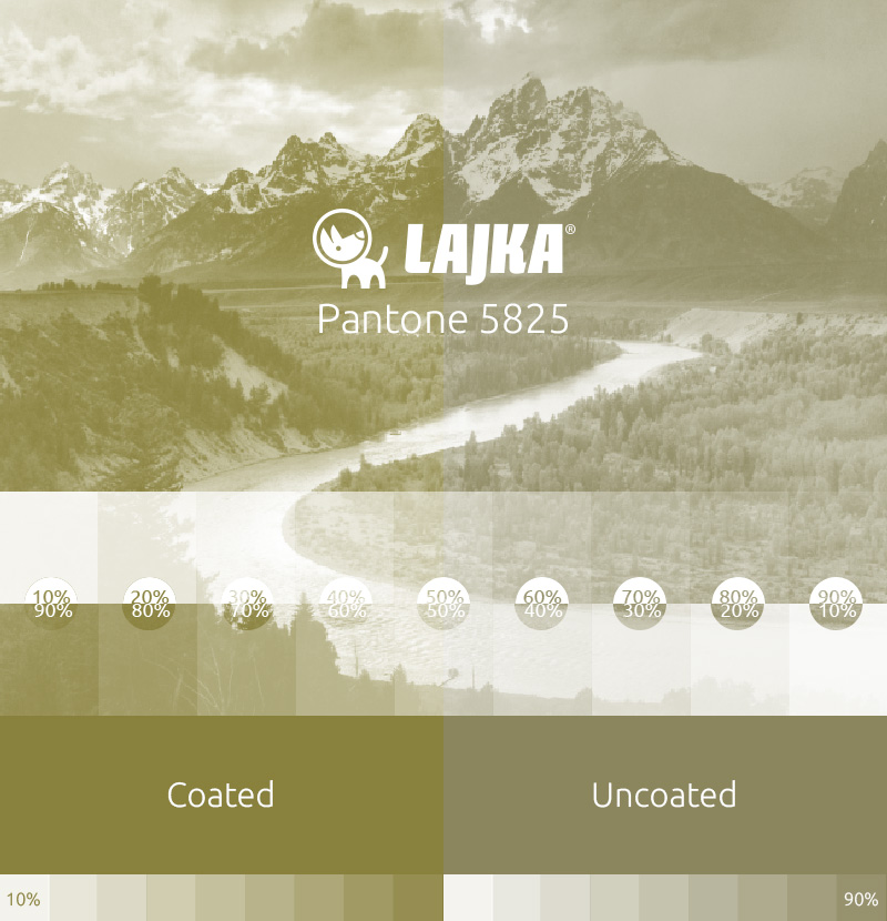 pantone 5825