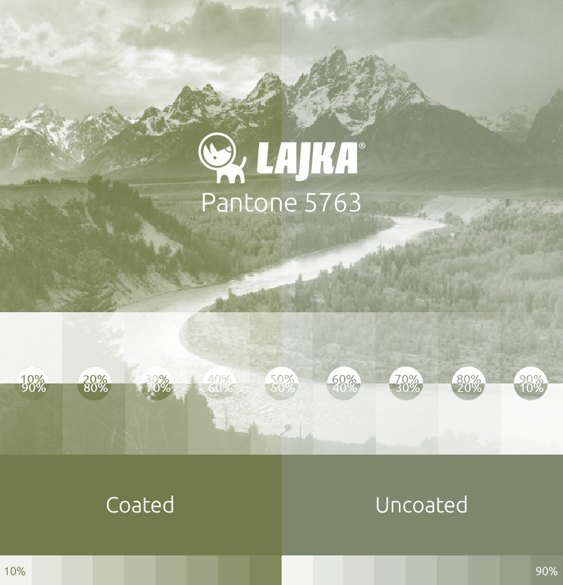 pantone 5763