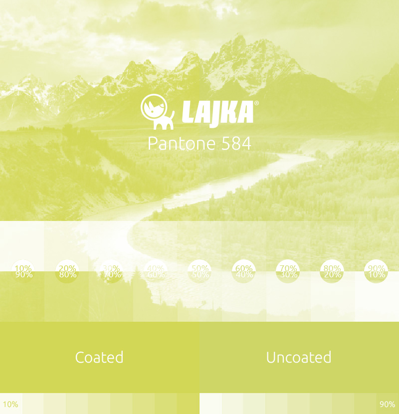 pantone 584
