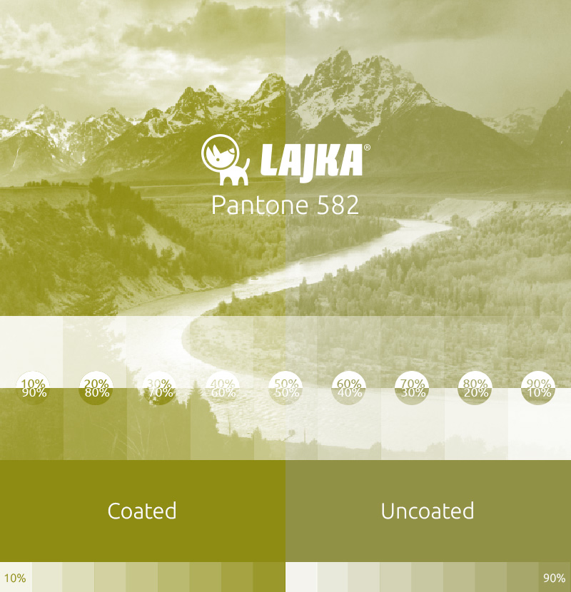 pantone 582