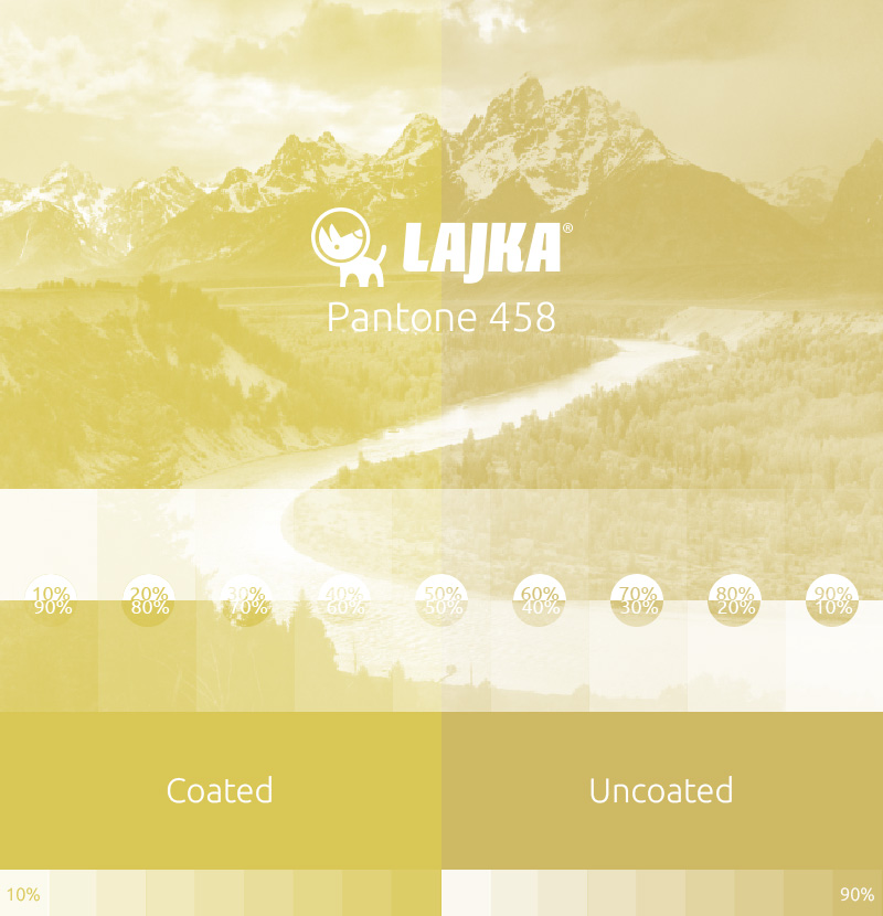pantone 458