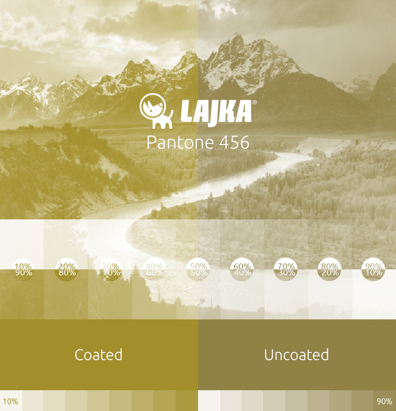 pantone 456