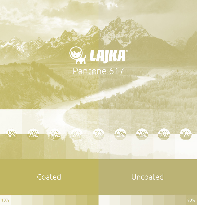 pantone 617
