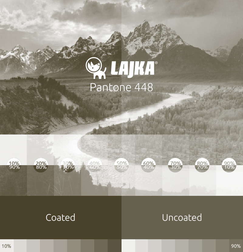 pantone 448
