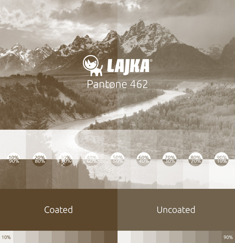 pantone 462