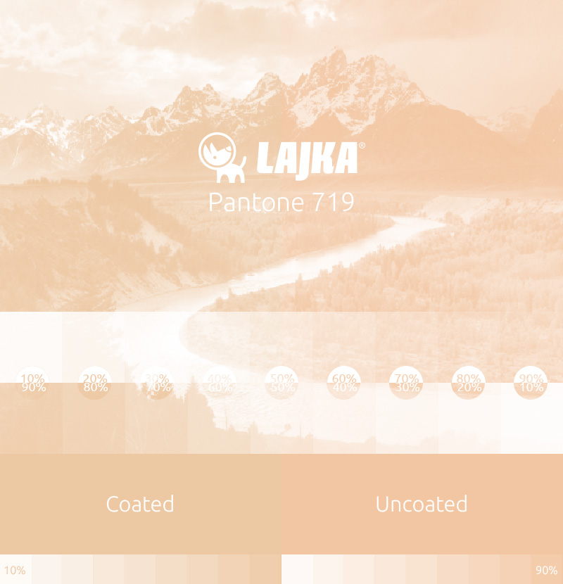 pantone 719