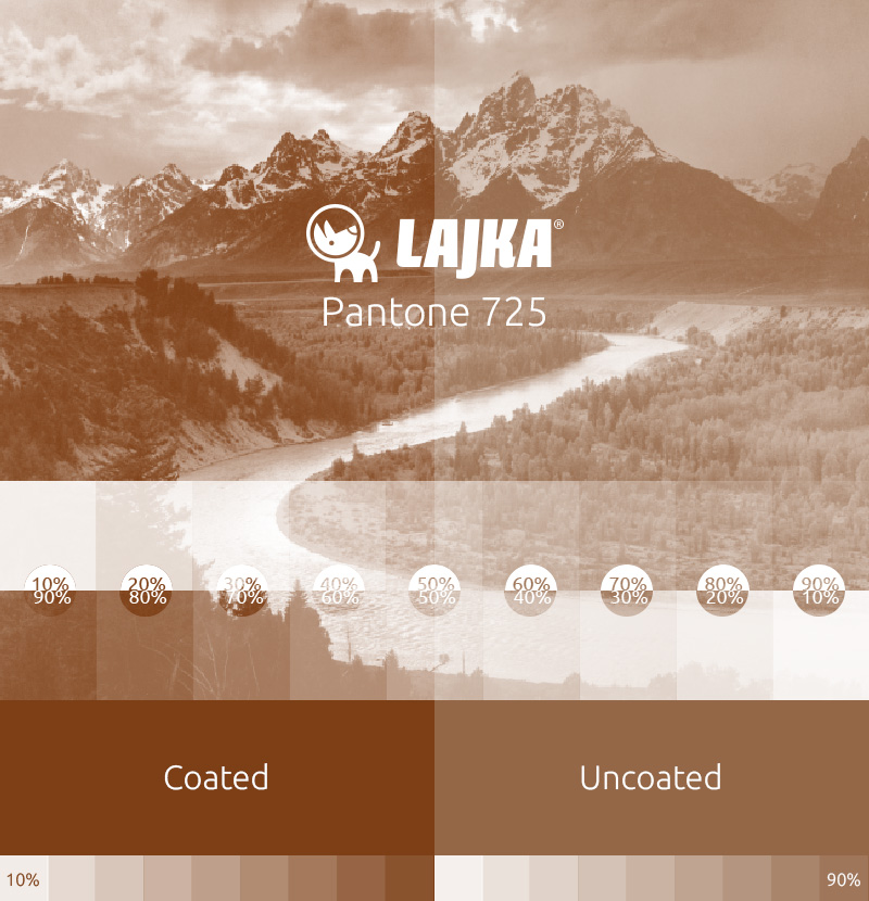 pantone 725