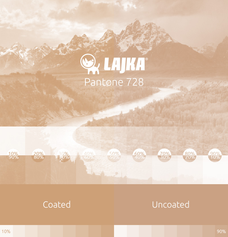 pantone 728