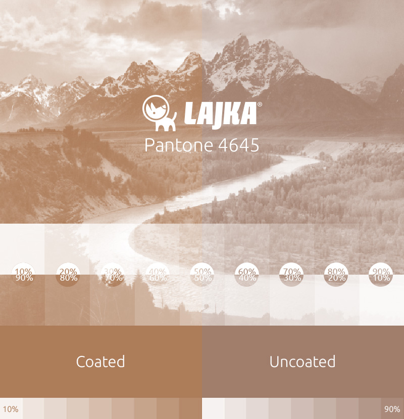 pantone 4645