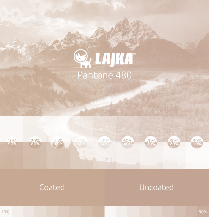 pantone 480