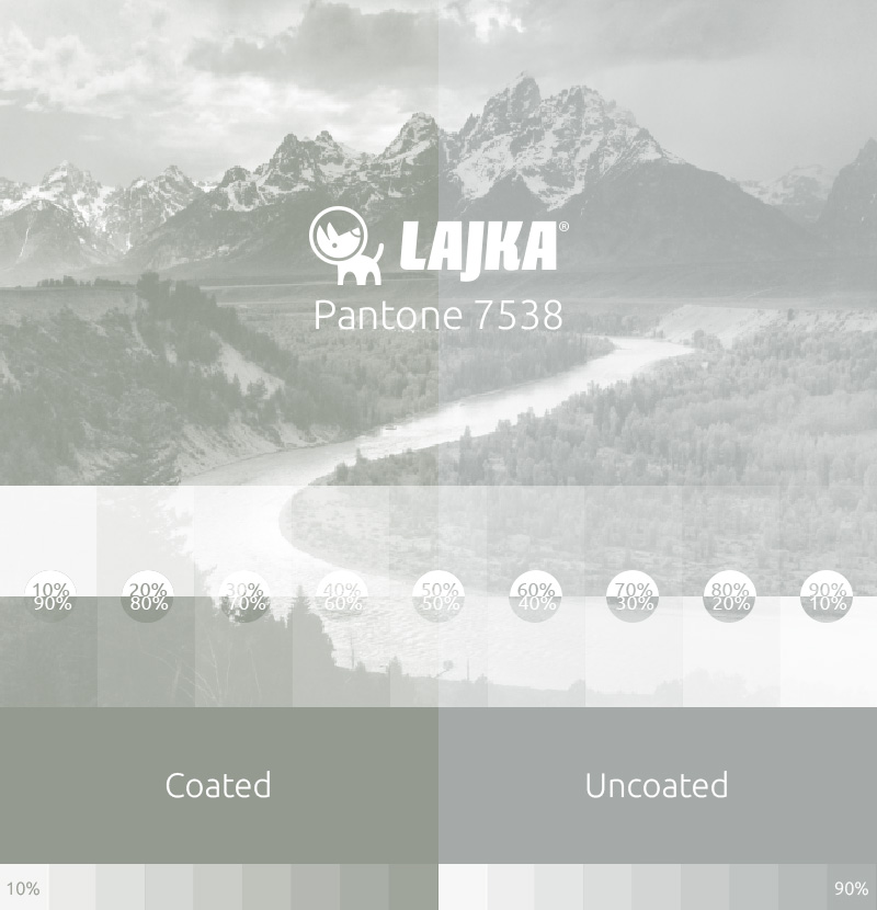pantone 7538
