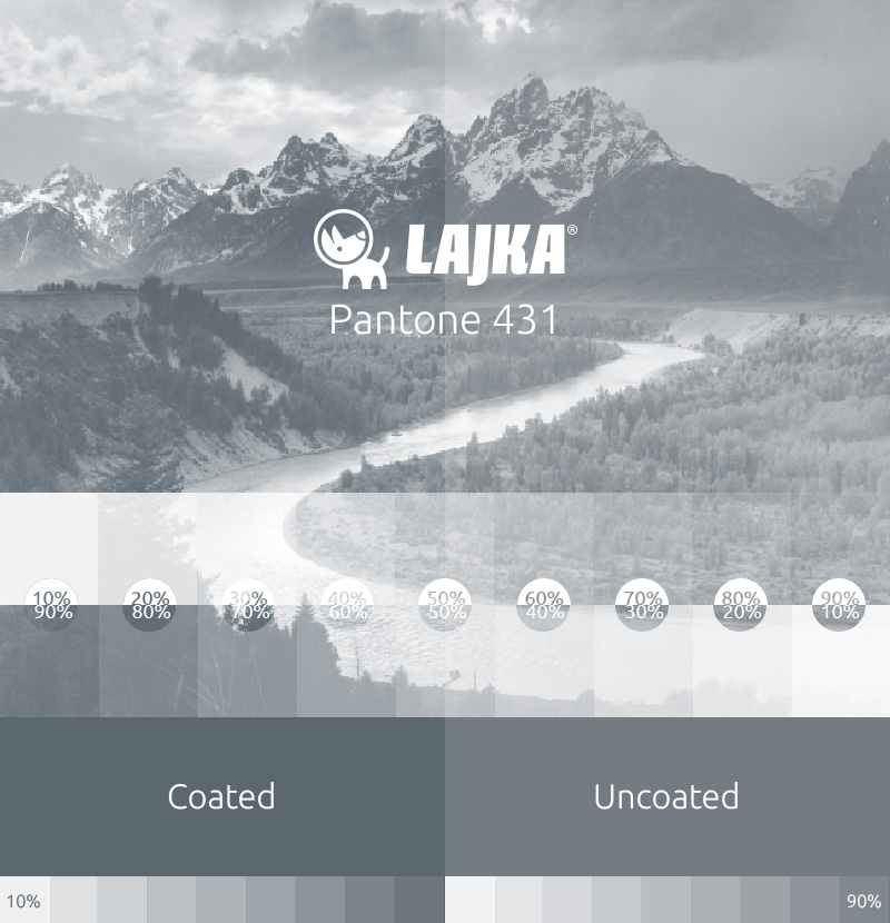 pantone 431